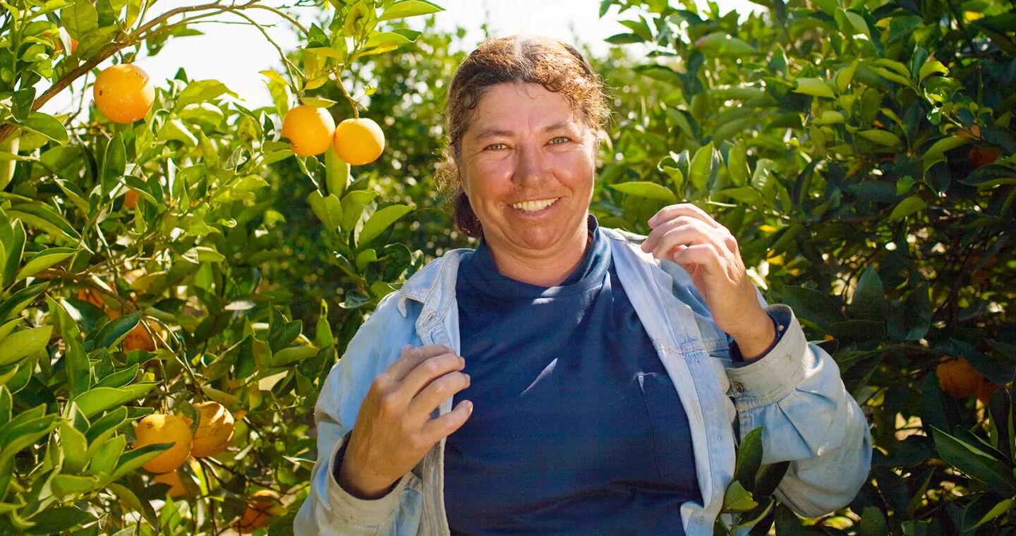 Fairtrade, femme dans une orangeraie